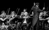 Orchestr Bolech slavil 140 let. Zpěvačka Iva Bittová ho v Táboře proklela 
