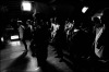FreeDim fest obsadil opět Cestu