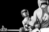 Noci bojovníků v Táboře ovládli domácí, fandil i olympionik Rudolf Kraj
