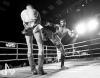Noci bojovníků v Táboře ovládli domácí, fandil i olympionik Rudolf Kraj