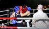 Noci bojovníků v Táboře ovládli domácí, fandil i olympionik Rudolf Kraj
