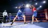 Noci bojovníků v Táboře ovládli domácí, fandil i olympionik Rudolf Kraj