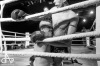 Noci bojovníků v Táboře ovládli domácí, fandil i olympionik Rudolf Kraj