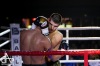 Noci bojovníků v Táboře ovládli domácí, fandil i olympionik Rudolf Kraj