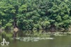 Festival Vltava Open otevřel plavební a turistickou sezonu hudbou, divadlem i deštěm