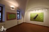Zpřístupněné dvorky Starého Města lákaly zvědavce i milovníky kultury