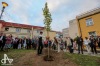 Divadlo Oskara Nedbala končilo sezonu Funusem a sázením stromu