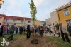 Divadlo Oskara Nedbala končilo sezonu Funusem a sázením stromu