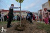Divadlo Oskara Nedbala končilo sezonu Funusem a sázením stromu