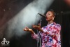 Sziget festival ovládli skvělí Gorillaz