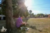 Sziget festival se naplno rozjíždí
