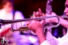 Bohemia Jazz Fest: Hrálo se na ráfek od kola i sprejem. Náměstí v Táboře tančilo