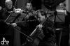 Klasici v Táboře hostili violoncellovou špičku. Teď lákají na crossover Clarinet Factory