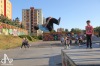 Jaké byly šestnácté skateové závody? Jako o život jezdili velcí i malí, naposledy i na bowlu