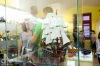 Muzea i galerie praskaly ve švech. Táborskou muzejní noc navštívily tisíce lidí