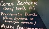 Černou Barboru se zrzavým bobrem i kvalitní hudbu nabídla volyňská plovárna