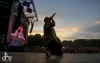 Macklemore na Szigetu chytal podprsenky