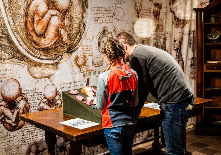 Výstava Leonardo da Vinci v Českých Budějovicích má úspěch. Je prodloužená