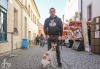 Čokoláda v ulicích Tábora. Děti tančily s Čokožroutem, dospělí degustovali 