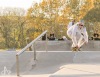 Na skateboardu se proháněl vodník, klaun i žralok 