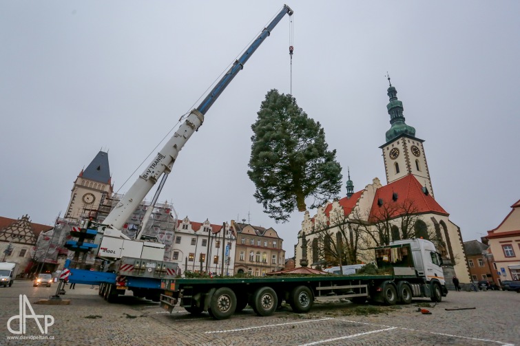 Vánoční strom v Táboře bude hezčí. Pracovníky ale pořádně potrápil