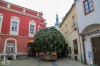Vánoční strom v Táboře bude hezčí. Pracovníky ale pořádně potrápil