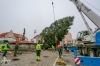 Vánoční strom v Táboře bude hezčí. Pracovníky ale pořádně potrápil