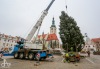 Vánoční strom v Táboře bude hezčí. Pracovníky ale pořádně potrápil