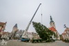 Vánoční strom v Táboře bude hezčí. Pracovníky ale pořádně potrápil