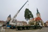 Vánoční strom v Táboře bude hezčí. Pracovníky ale pořádně potrápil