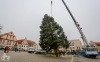 Vánoční strom v Táboře bude hezčí. Pracovníky ale pořádně potrápil