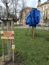 Jindřichohradecké Jinohrátky: Spoustěla se koza z věže, betlémská hvězda je industriální