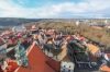 Staročeský vánoční trh v Táboře bavil i pomáhal