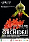 Jihočeské muzeum v Budějovicích zazáří kvetoucími orchidejemi a kaktusy 