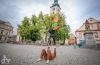 Kulturu nezastavíš! Cirk La Putyka vystoupil v Táboře, Budějovicích a Komařicích 