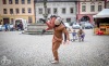 Kulturu nezastavíš! Cirk La Putyka vystoupil v Táboře, Budějovicích a Komařicích 