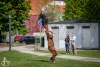 Kulturu nezastavíš! Cirk La Putyka vystoupil v Táboře, Budějovicích a Komařicích 