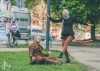Kulturu nezastavíš! Cirk La Putyka vystoupil v Táboře, Budějovicích a Komařicích 