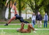 Kulturu nezastavíš! Cirk La Putyka vystoupil v Táboře, Budějovicích a Komařicích 