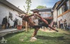 Kulturu nezastavíš! Cirk La Putyka vystoupil v Táboře, Budějovicích a Komařicích 