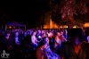 Lepší Táborky? Festival přišel o opulentní oslavy, dostal příjemný ráz sousedské slavnosti 