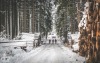 Krásné počasí turisty na Hrejkovickou dvacítku vylákalo. Pochod můžete jít až do Velikonoc 