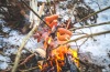 Krásné počasí turisty na Hrejkovickou dvacítku vylákalo. Pochod můžete jít až do Velikonoc 