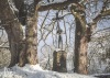Krásné počasí turisty na Hrejkovickou dvacítku vylákalo. Pochod můžete jít až do Velikonoc 
