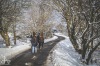 Krásné počasí turisty na Hrejkovickou dvacítku vylákalo. Pochod můžete jít až do Velikonoc 