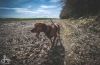 Lidé putovali Husitským krajem pěšky i na kole. Počasí akci přálo 