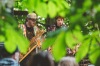 Autokoncert, divadlo ve výlohách a skate contest v ulicích. To byl Budějovický majáles