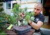 V Táboře se sešly výstavy růží a bonsají. Navštívily je stovky lidí