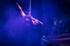 Novocirkusový soubor Cirk La Putyka přivezl do Budějovic energii pro kulturu