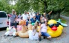 Velká zvířata obsadila Lužnici. Na Benešově mlýně překvapila svatbu